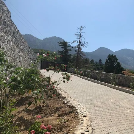 Spectacular In Kyrenia