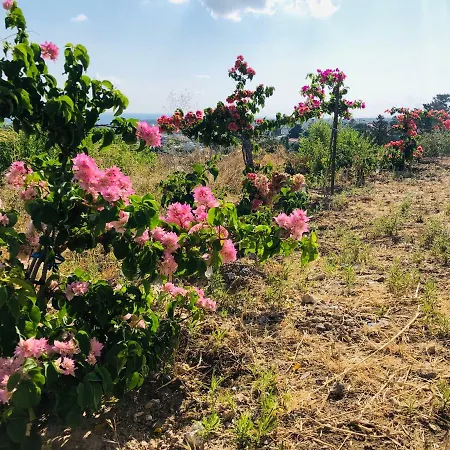 Spectacular In Kyrenia *